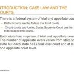 Navigating New Jersey’s Appellate Division: A Comprehensive Guide
