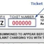 A Step-by-Step Guide to NJMCdirect Traffic Ticket Payment